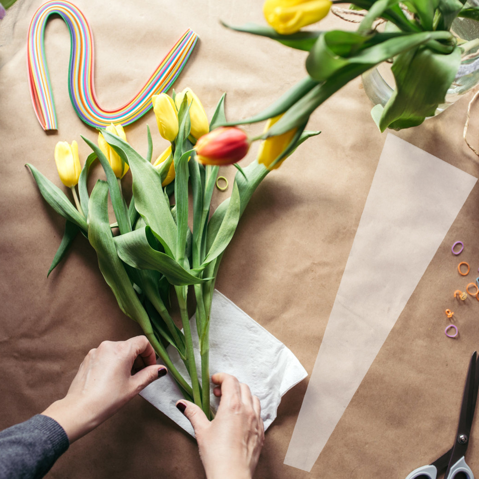 50 Stück Hochwertige Transpare – Quality Florist Supply Bewertung und Preis